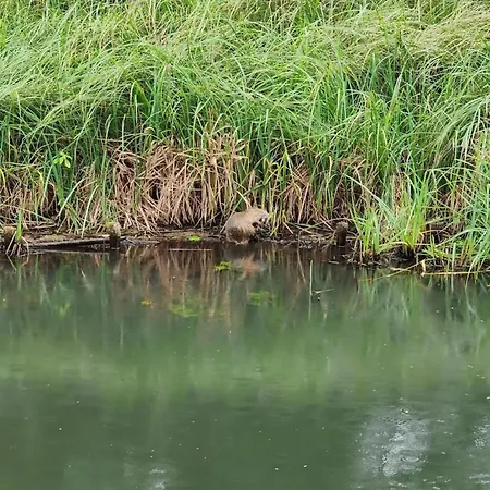 Reihenhaus In An Der Spree بيت للعطل *