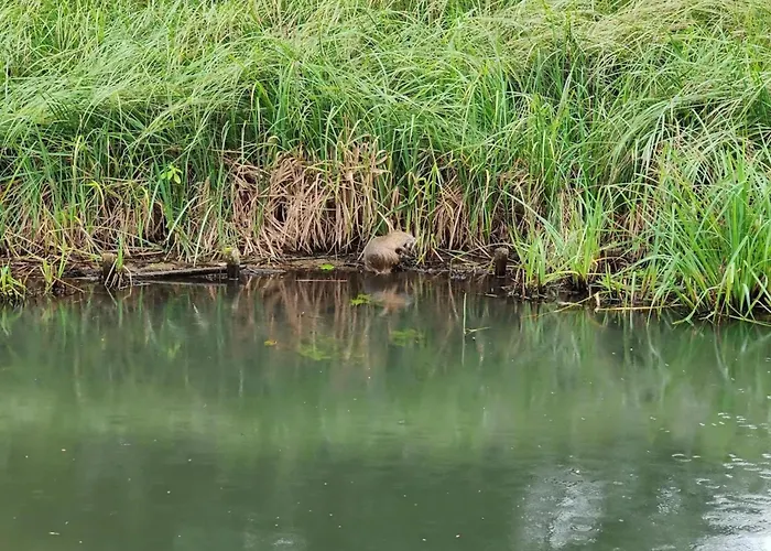 Reihenhaus In An Der Spree Semesterbostad *